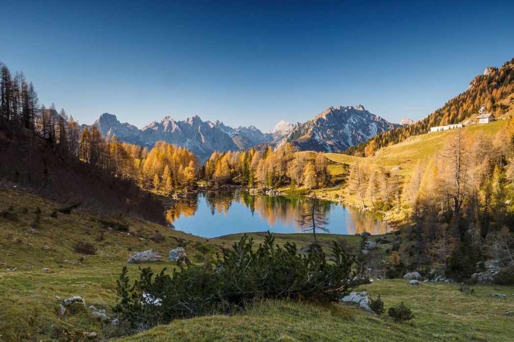 11022014  B020643 rid