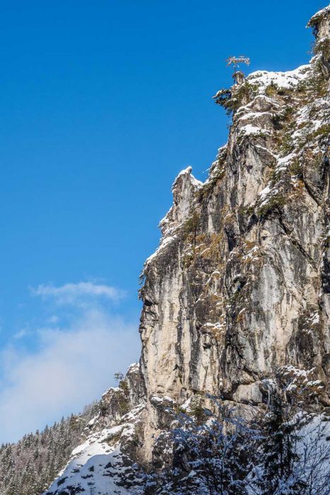 01022018  1020070 rid