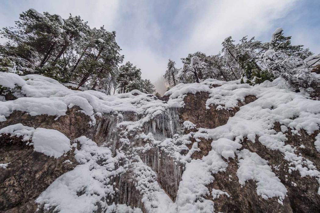 01022018  1020838 rid