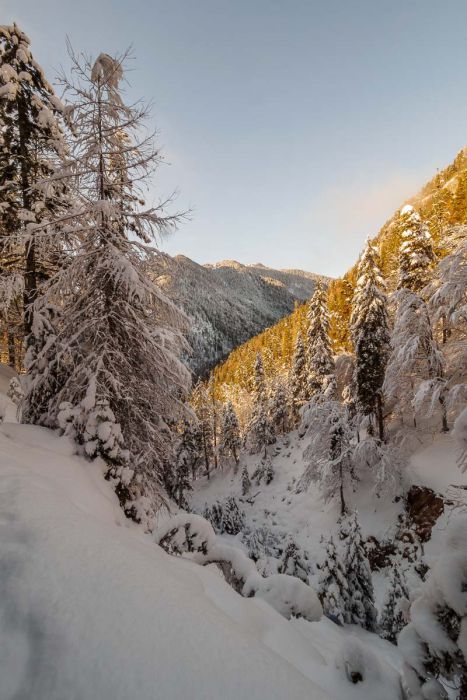 01022018  1020889 rid