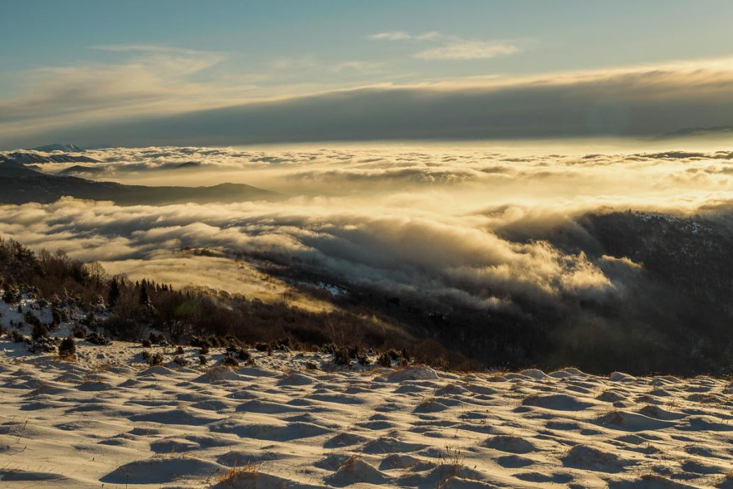 01142017  1140502 rid