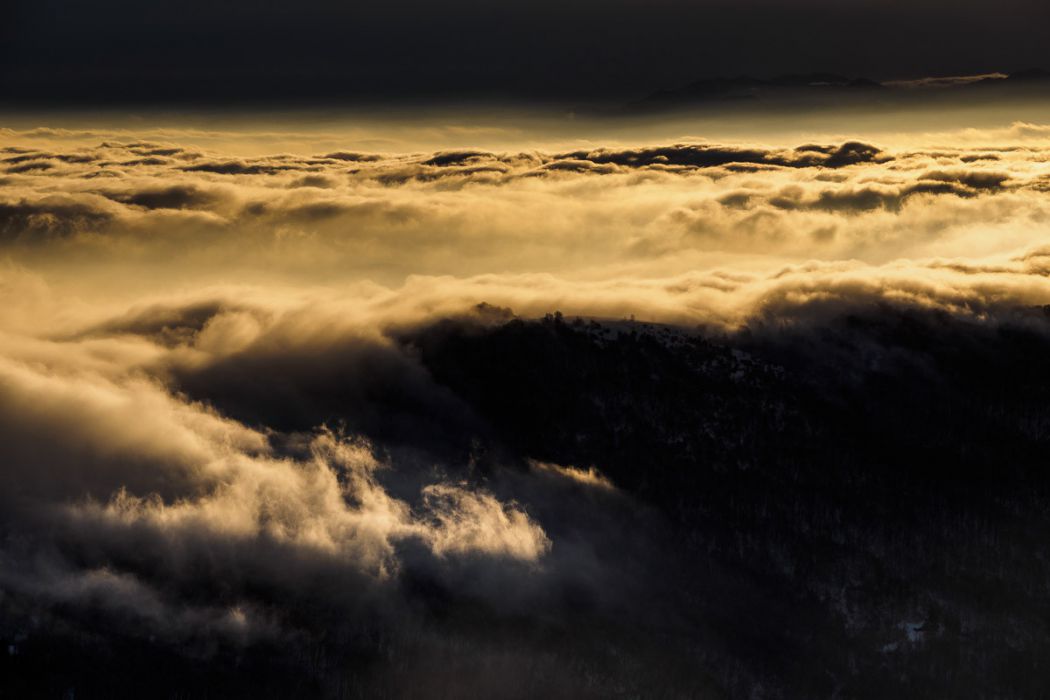 01142017  1140504 rid