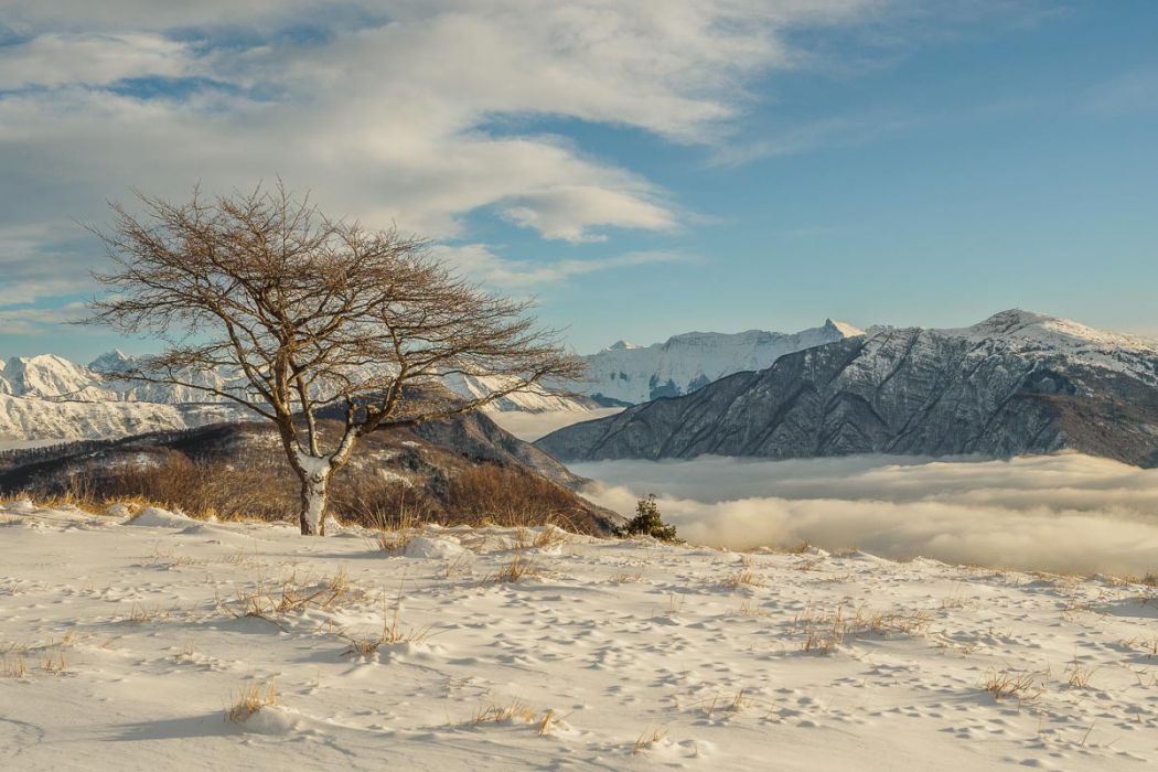 01142017  1140541 rid