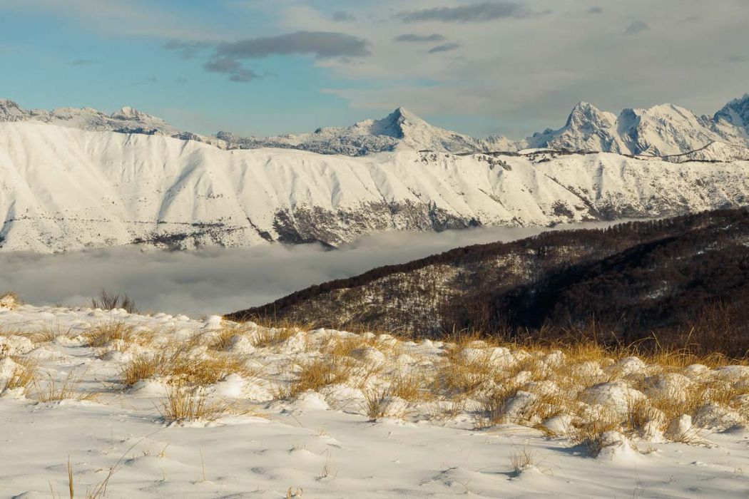 01142017  1140576 rid