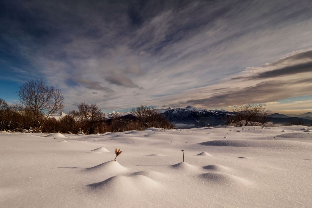 01142017  1140673 rid