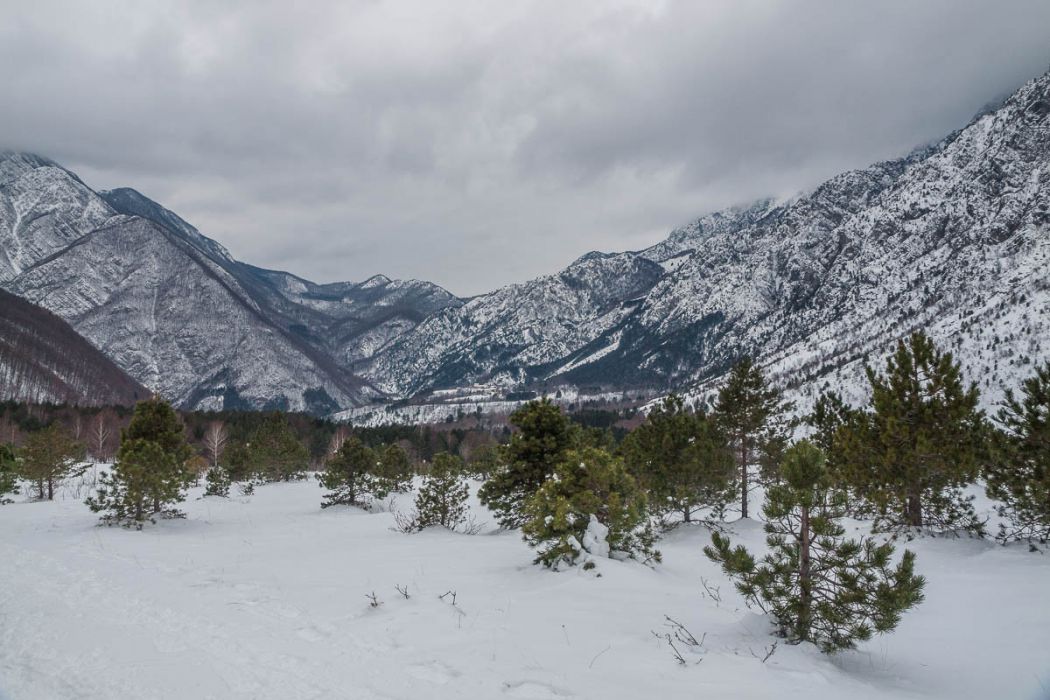 01192013 P1198211 rid