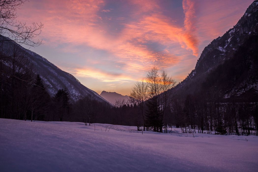 02212016  2210122 rid