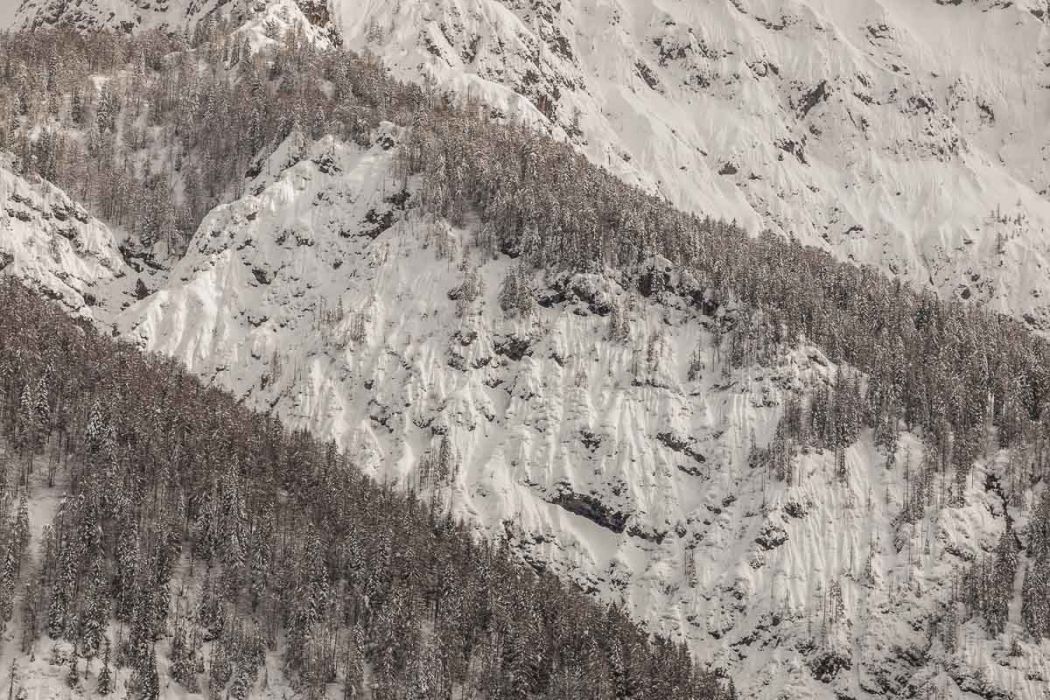 02232014 P2239226 rid