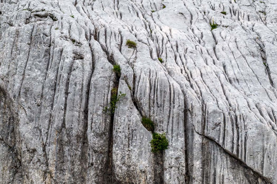 08082009 P8081698 rid  3 2 