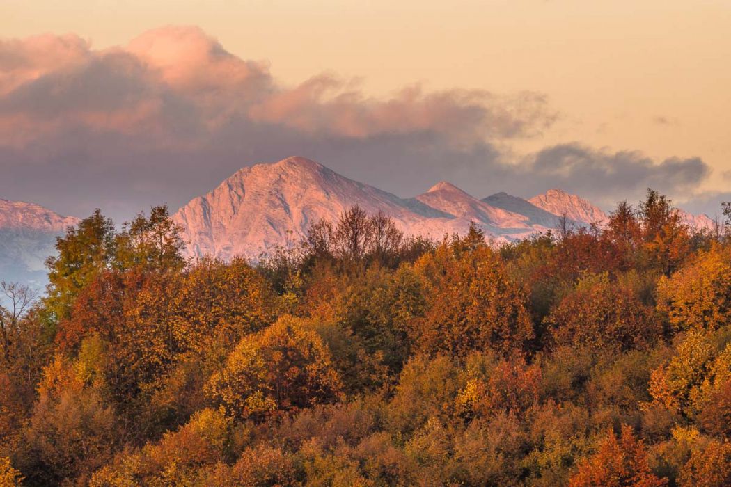 10302016  A300058 rid