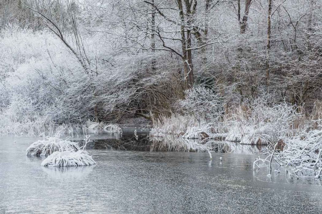 12232017  C230173 rid