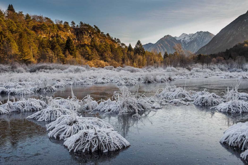 12232017  C230199 rid