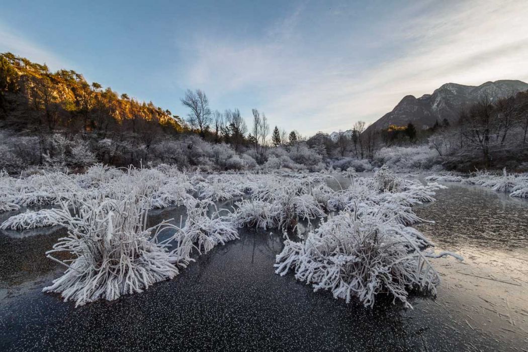 12232017  C230451 rid