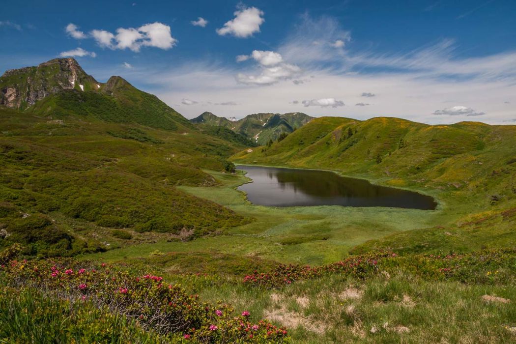 30062013 P6301118 rid