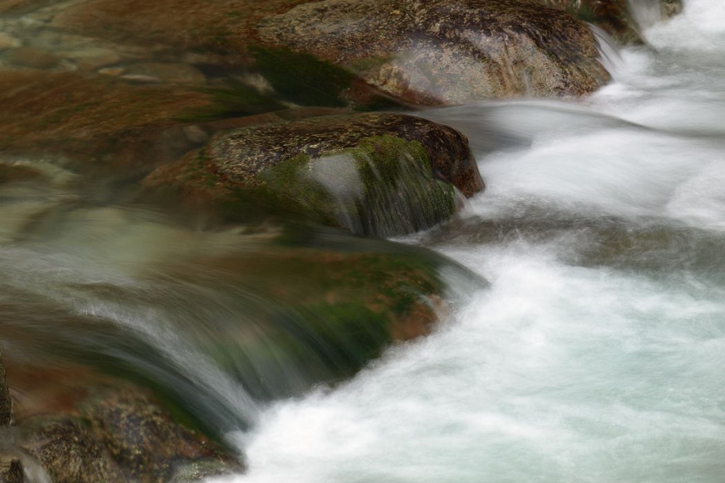 01242009 P1246797 new pgrigio  rid 2