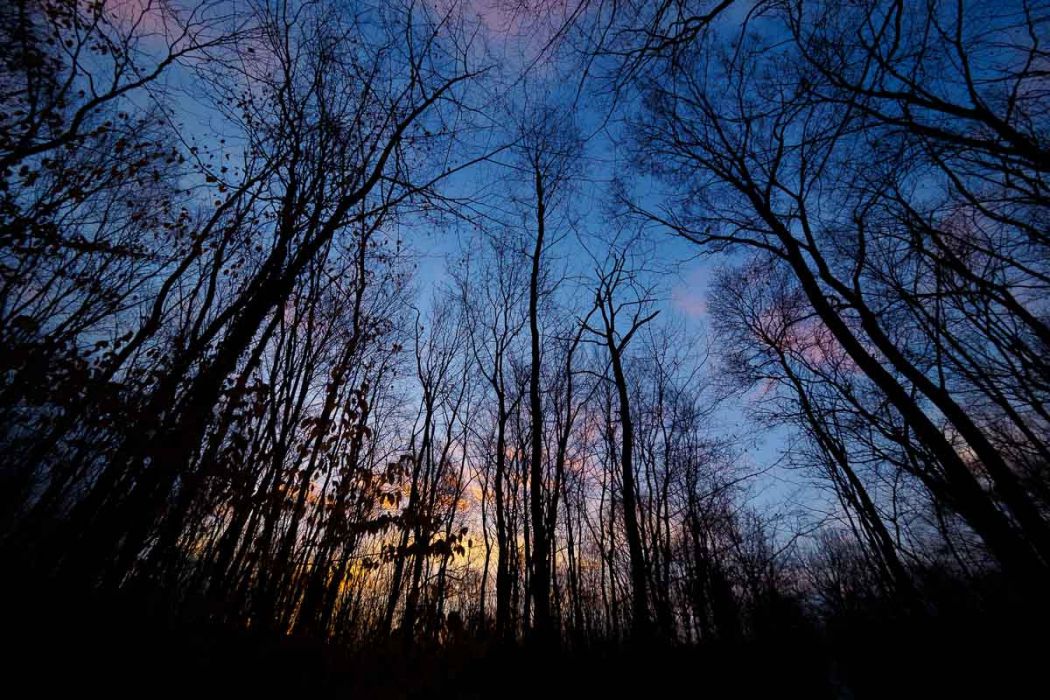 02052017  2050795 rid