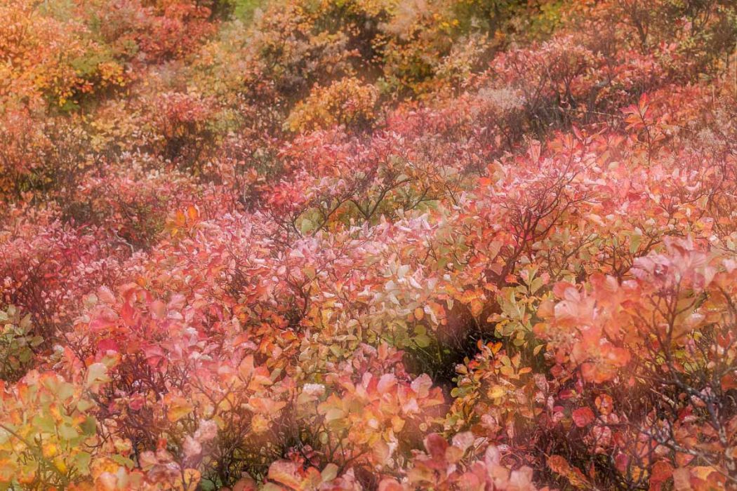 02112013 PB027029 rid