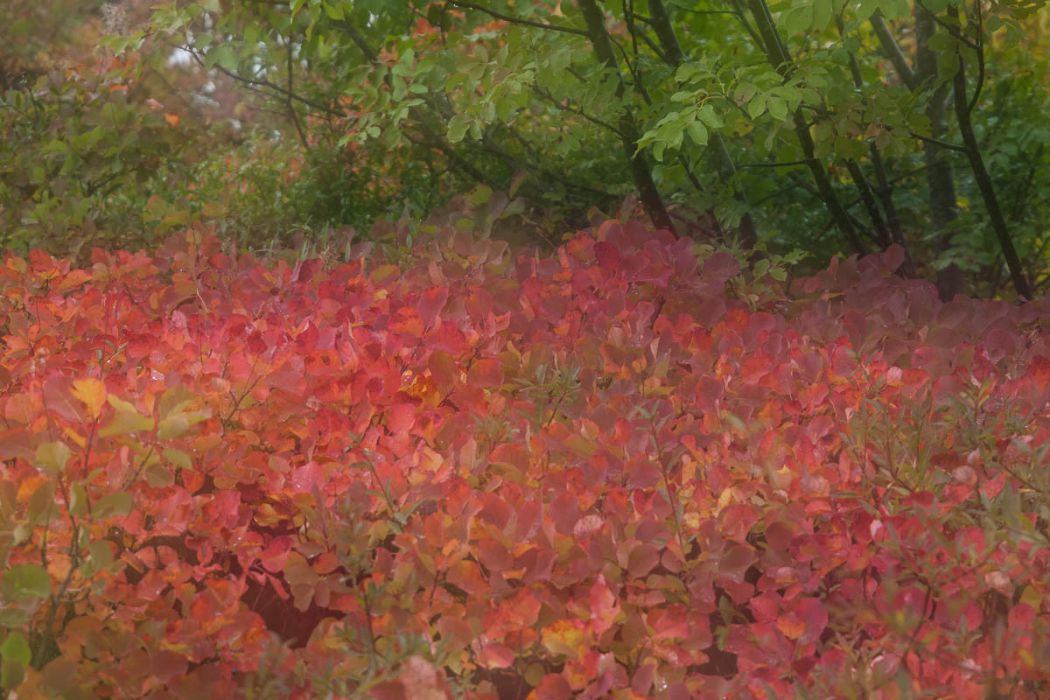 02112013 PB027046 rid