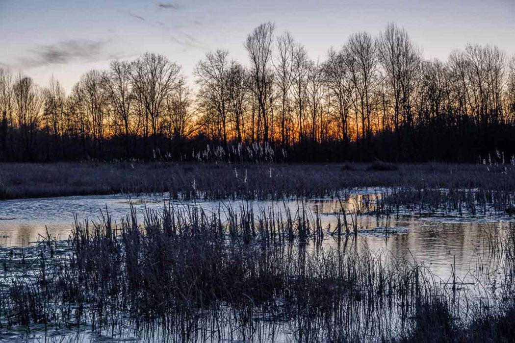 03052015  3050535 rid