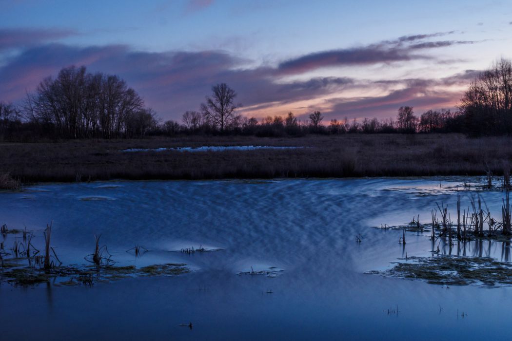 03052015  3050554 rid