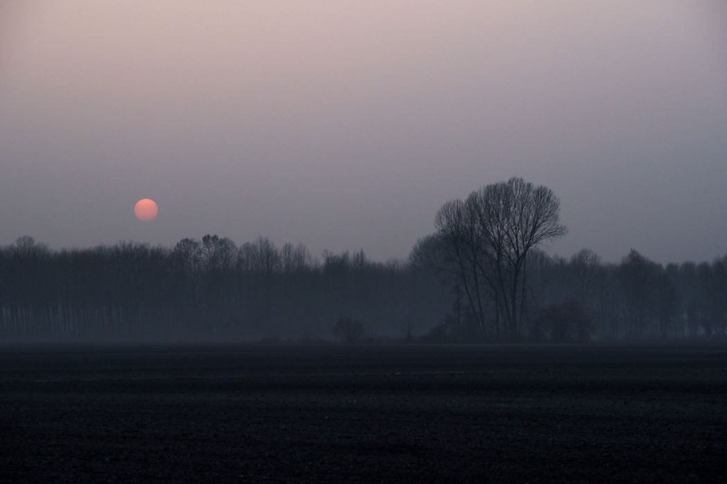 03052019  3051483 rid