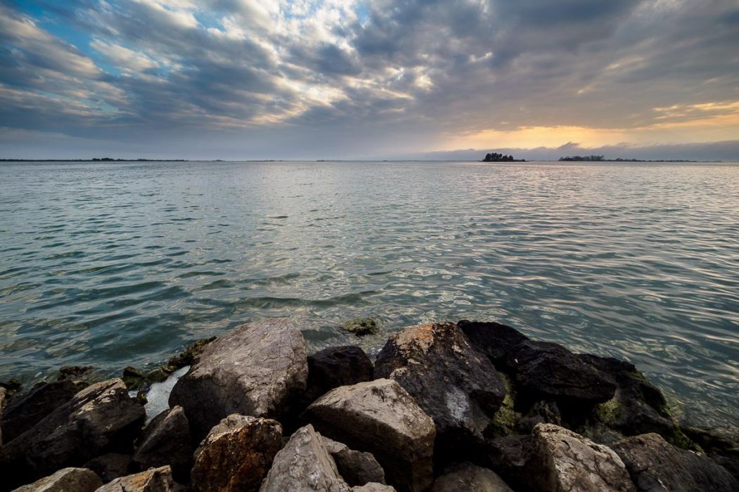 03172019  3171839 rid