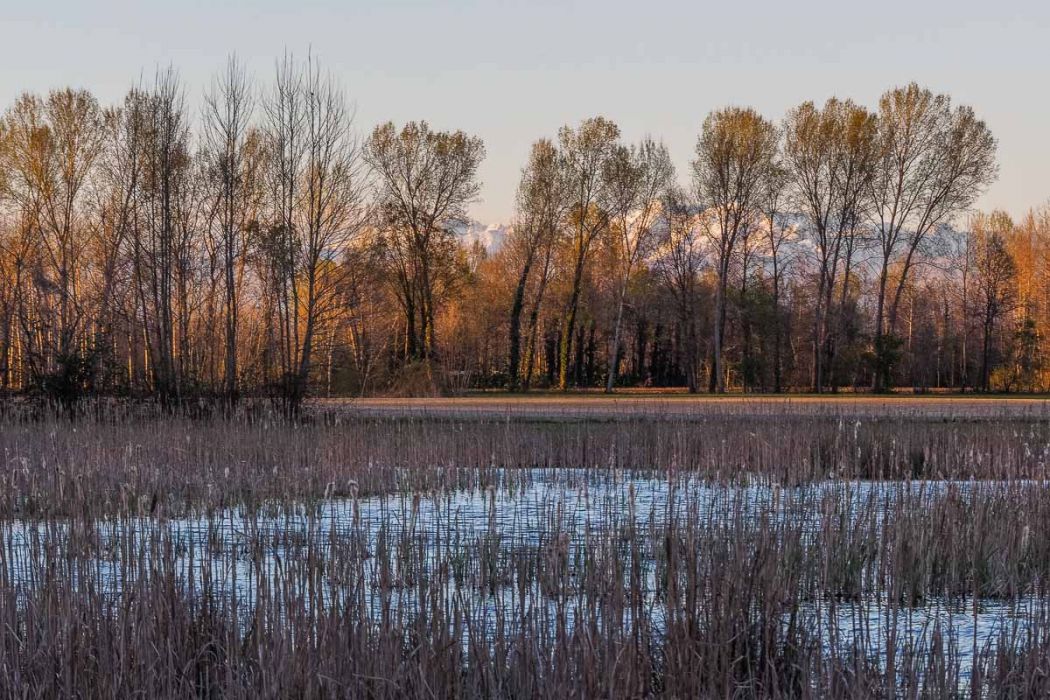 04012015  4010926 rid