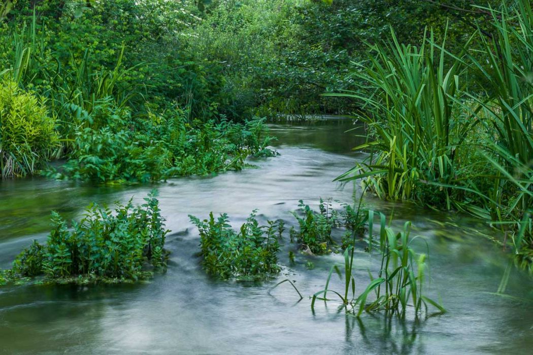 05192009 P5199931 rid