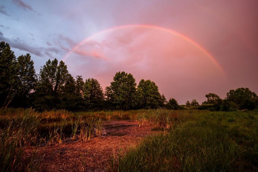 07062017  6070390 Edit rid