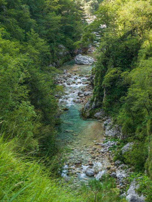 08012009 P8011393 rid