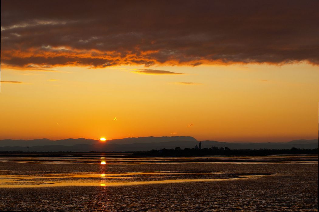 08242009 P8243285  3 2  rid