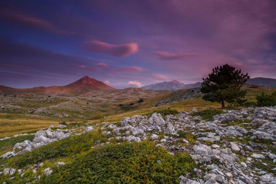 19082016  8190614 rid