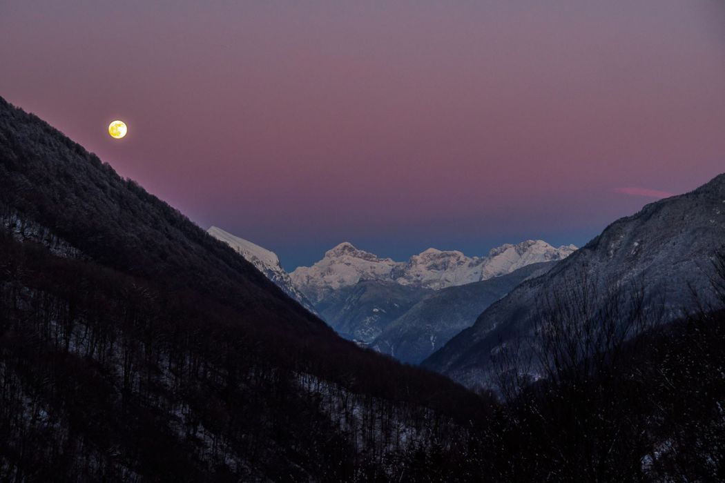 01202019  1200032 rid