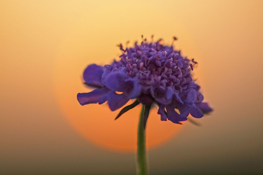 03312014 P3310458 rid  3 2 