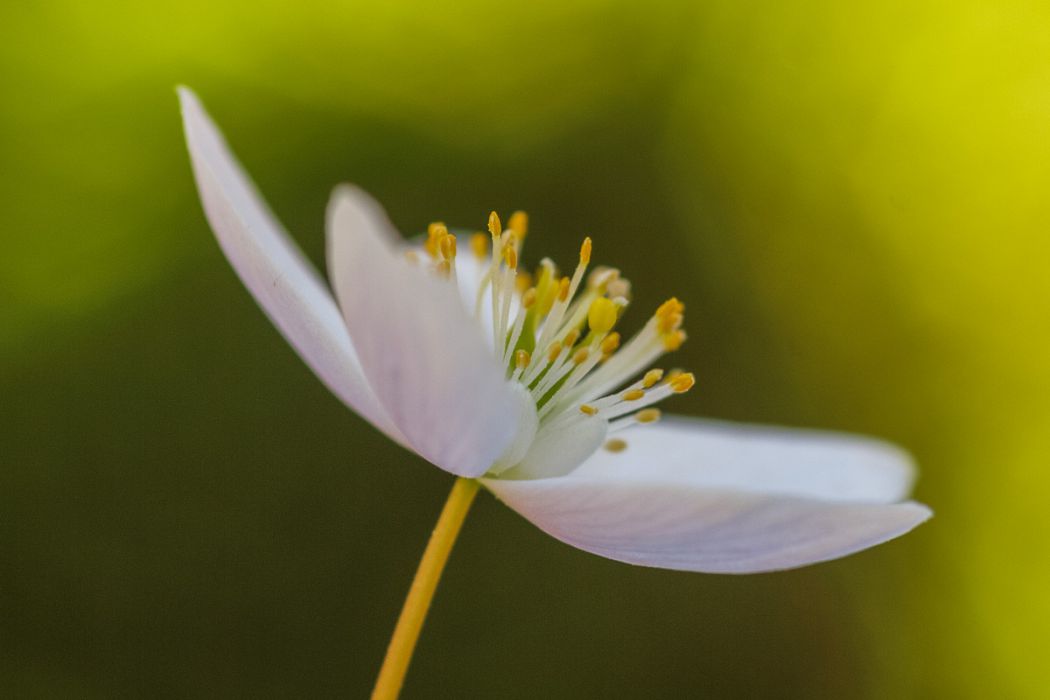 04142013 P4149573 2 rid  3 2 