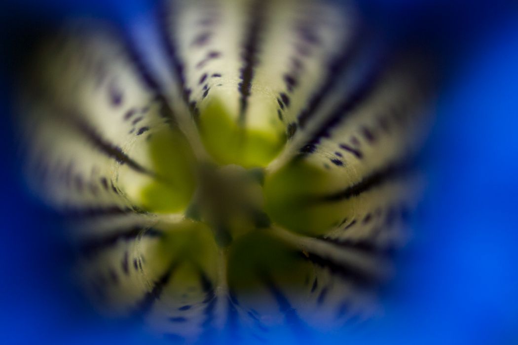 05012013 P5019770 rid  3 2 