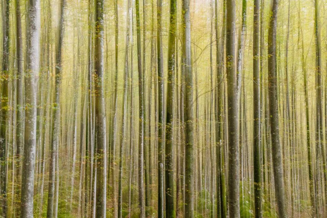 10122014  A120276 rid