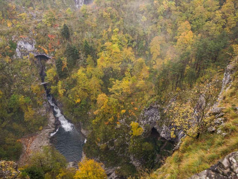 10242010 PA240014 rid