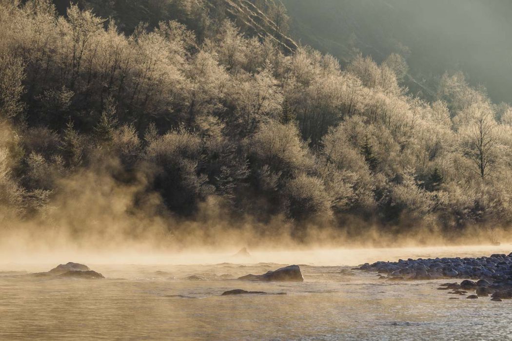 12102016  C100279 rid