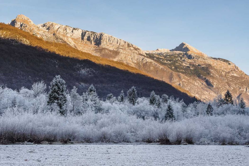 12102016  C100338 rid