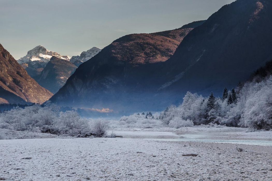 12102016  C100342 rid