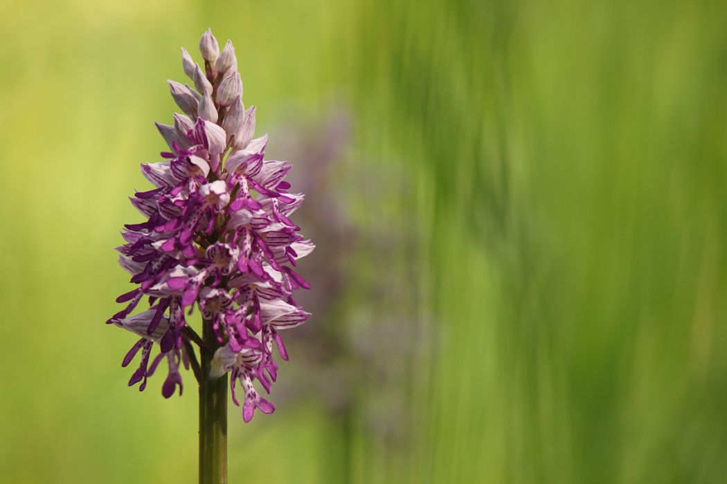 05032014 P5031964  3 2  rid