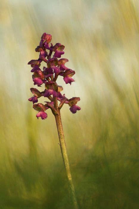 05102014 P5102431  2  rid