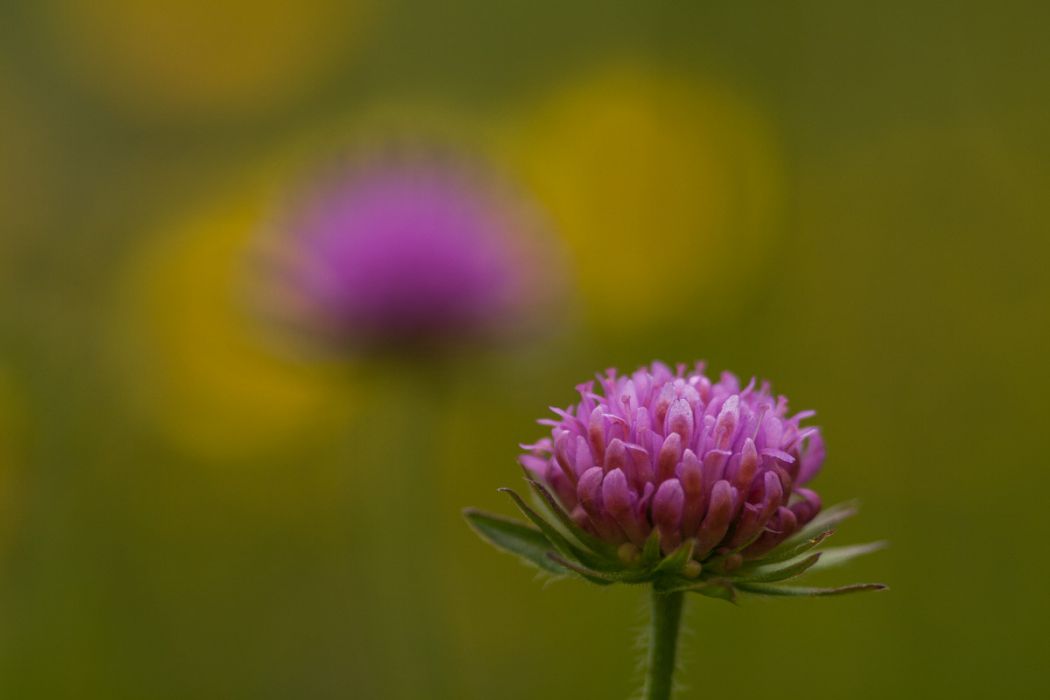 05202012 P5200952 rid  3 2 