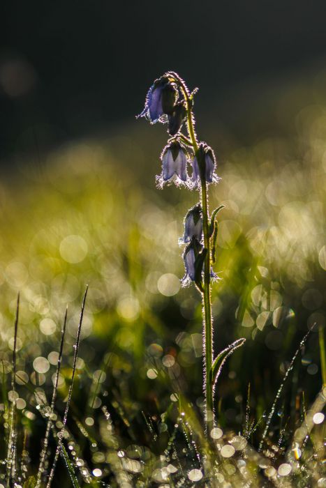 07102016  7101389 rid