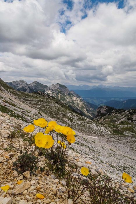 07232014  7230157 rid  3 2 