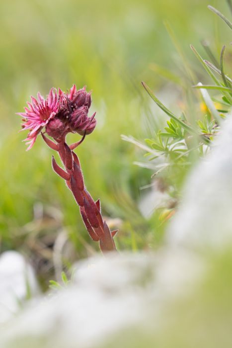 07232014  7230211 rid  3 2 