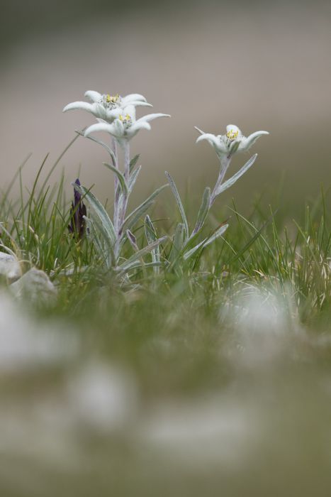 07232014  7230225 rid  3 2 