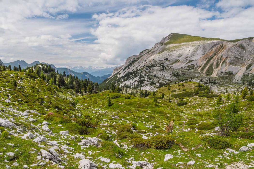 07232014  7230253 rid  3 2 